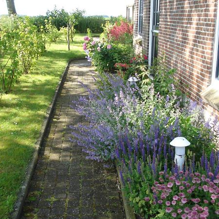 Oosternijkerk B&B Op De Vlakte מראה חיצוני תמונה
