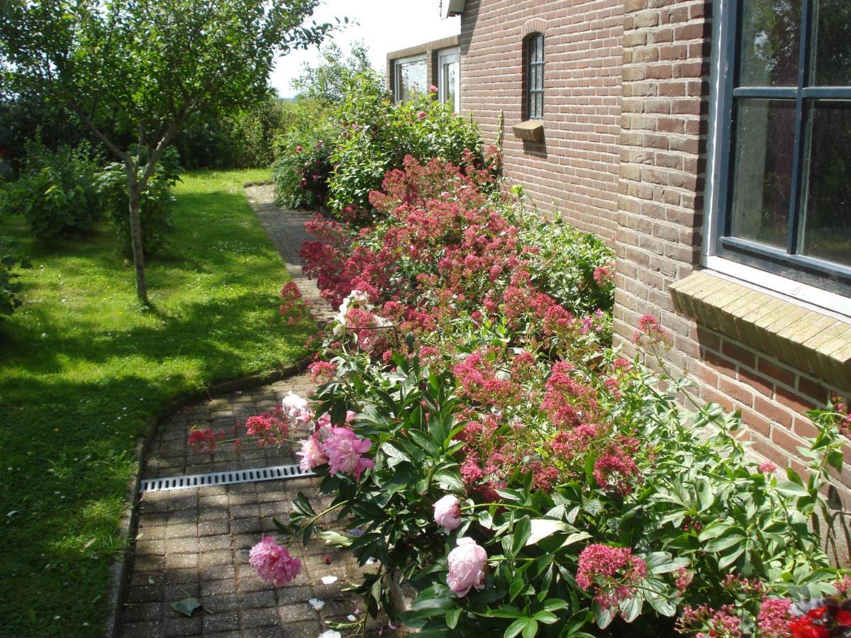 Oosternijkerk B&B Op De Vlakte מראה חיצוני תמונה