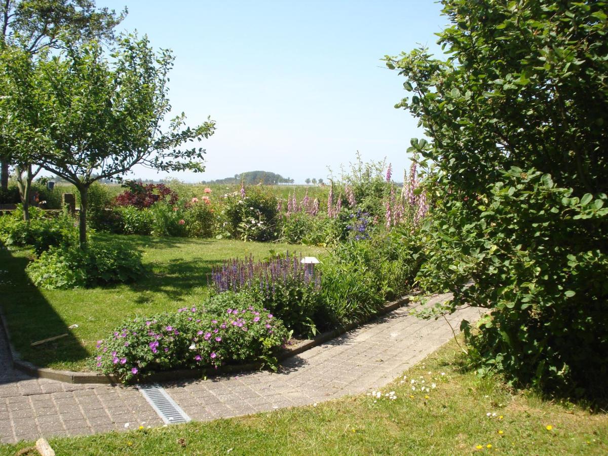 Oosternijkerk B&B Op De Vlakte מראה חיצוני תמונה